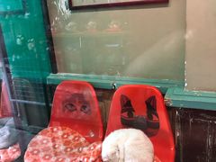 -猫咪博物馆(顶澳仔猫街店)