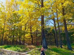 -阳台山自然风景区