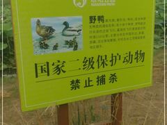 -大兴滨河森林公园