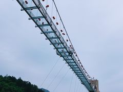 -客天下恐龙水晶玻璃桥