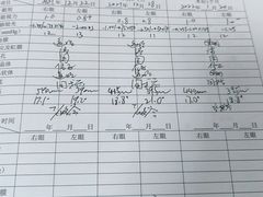 -上海大学附属上海和平眼科医院