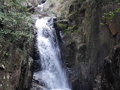 -广州市石门国家森林公园