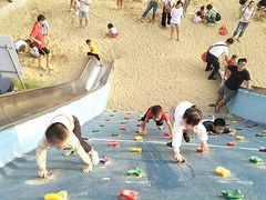 -宝安西湾红树林湿地公园