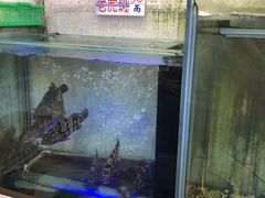 -旅南活海鲜-屏东(墾丁海鮮，海鮮餐廳，墾丁團體合菜，平價熱炒，墾丁熱炒店，活海鮮推薦，在地海鮮餐廳)