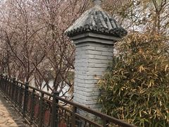 -桃花堤公园