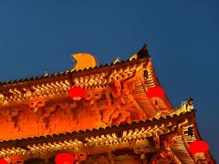-大青山野生动物园