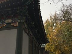 -国家图书馆·古籍馆