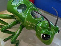 -上海昆虫博物馆