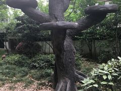 -汇龙潭