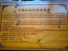 -山大王菌莊
