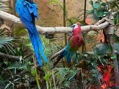 -杭州开元森泊度假乐园