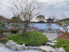 -上海滨江森林公园