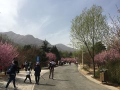 -北京鹫峰国家森林公园