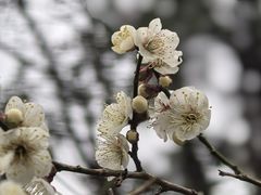 -宝岩生态观光园