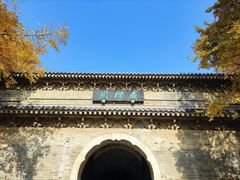 -灵谷景区