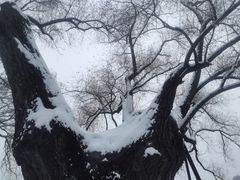 -颐和园