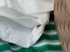 -香满锅老北京羊蝎子火锅·家常菜(新街口店)