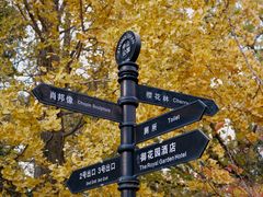 -中山公园