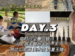 -国强手抓(西夏区店)