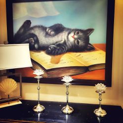 -咪咪比基尼脱毛专业店