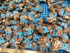 -半岛听涛蒸汽海鲜自助(K11店)