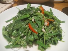 清炒丝瓜尖-一坐一忘云南菜(北京skp店)