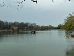 -苏州太湖国家湿地公园