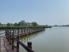 -西青郊野公园