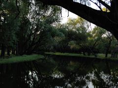 -上海共青森林公园