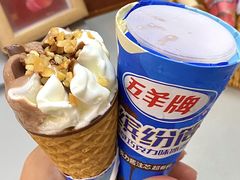 -深圳野生动物园