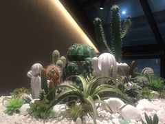 -大树餐厅(红旗街万达店)