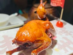 红烧乳鸽-大鸽饭(北京路店)
