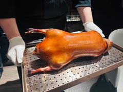 -柿合缘新京菜(静安嘉里中心店)