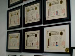 -国际咏春拳联合会拳馆俱乐部