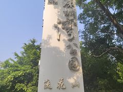 -深圳湾公园(南山区)