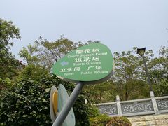 -小南山公园