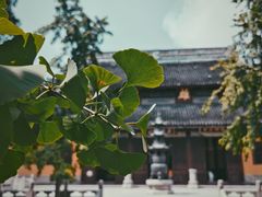 -西园戒幢律寺