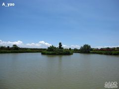 -大湾区中央湿地公园