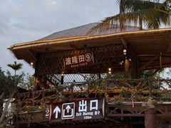 -海南槟榔谷黎苗文化旅游区