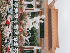 -深圳市中科院仙湖植物园