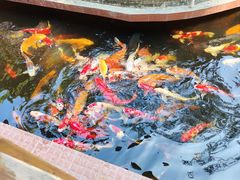 -侠成水上农庄(工业大道店)