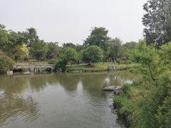 -鹅湖玫瑰文化园