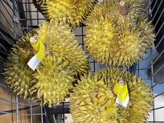 -麦德龙(湖里店)