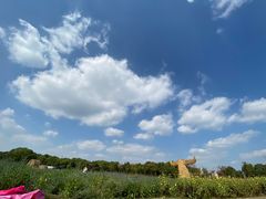 -嘉北郊野公园