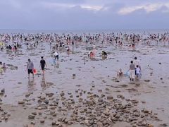 -天津东疆湾沙滩景区