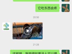 -雨林宠物医院 非犬猫异宠专科