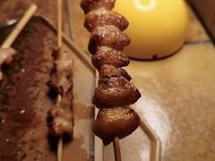 -山杏yama-katsu·吉列炸物