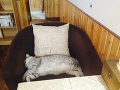 -隅cafe(傅厚岗店)