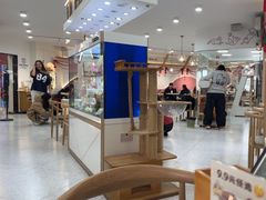 -喵园·猫主题咖啡厅·撸猫·猫咖(国贸店)