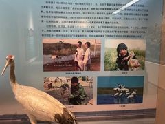 -齐齐哈尔市博物馆